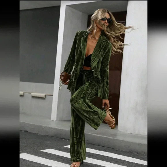 Women's Elegant Velvet Pleated Metal Button Blazer Suit Set, Long Sleeve Top - Picture 1 of 7